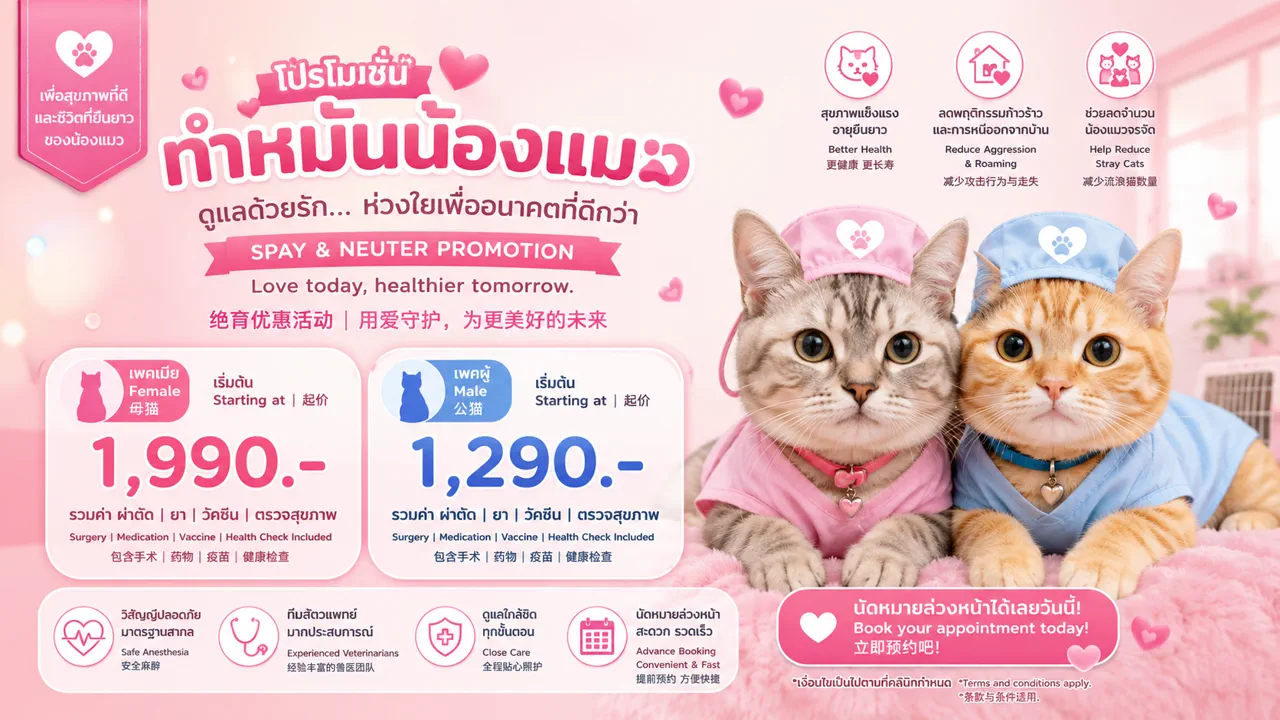 โปรโมชั่นทำหมันน้องแมว